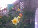 28042011(006)