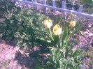 28042011(040)