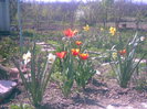 29042011(005)