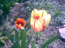29042011(008)