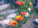 29042011(014)