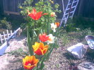 29042011(015)