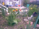 29042011(021)