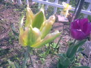 30042011(025)