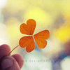 just_my_luck_____by_addy_ack-d3etxb5