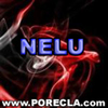 206-NELU director