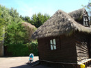 DSC07210