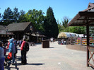 DSC07229