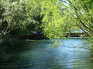DSC07255