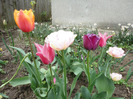 DSC01855