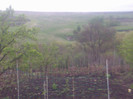 Imag039