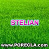 292-STELIAN avatare iarba verde