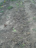 100_0568_(1)