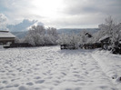 DSCF0675