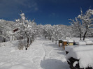 DSCF0676
