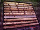 DSC05201