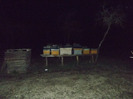 DSCF1330