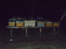 DSCF1333