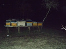DSCF1334