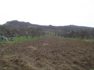 DSCF1359