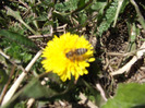 DSCF1536