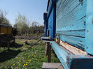DSCF1538