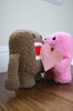 Domo-Kun`& Doma-Kun