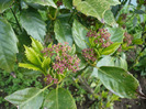 P1060797