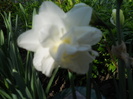 042