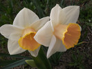DSCF0761