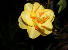 DSCF0016