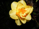 DSCF0017