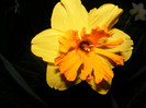 DSCF0023