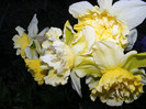 DSCF0040