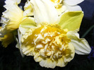DSCF0041