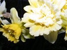 DSCF0042