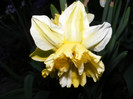 DSCF0043