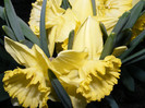 DSCF0047