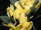 DSCF0049