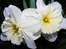 DSCF0053