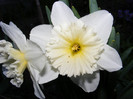 DSCF0054