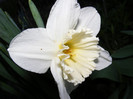 DSCF0055