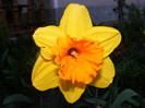 DSCF0076