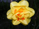 DSCF0077