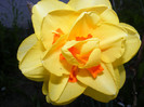 DSCF0078