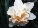 DSCF0080