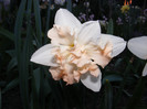 DSCF0081