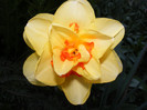 DSCF0087