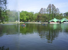 Parc Romanesti-lacul