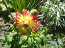 BILD5893